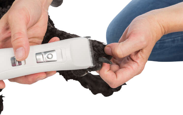 TRIXIE Schermaschinen-Set Akku TR1150, 6 W